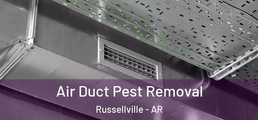 Air Duct Pest Removal Russellville - AR