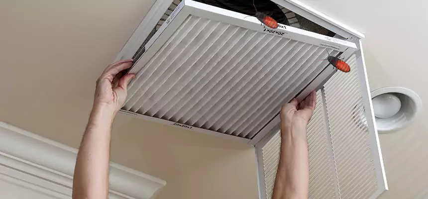 Preventive Cockroach-Proofing for Ducts in Russellville