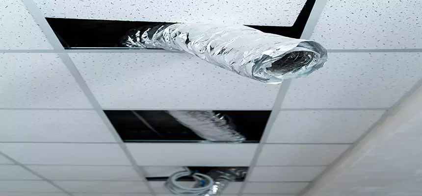 Affordable HVAC Sanitizing After Pest Removal in Russellville