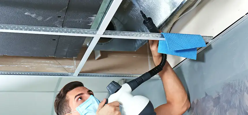 Our Air Duct Rodent Removal Services in Russellville, AR