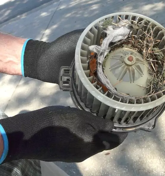 About Air Duct Rat Removal in Russellville, AR