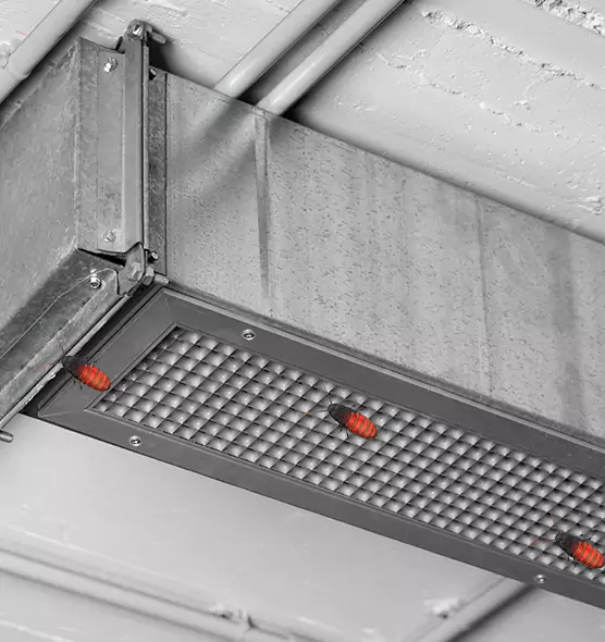 Affordable Insect Removal from Air Ducts in Russellville, AR