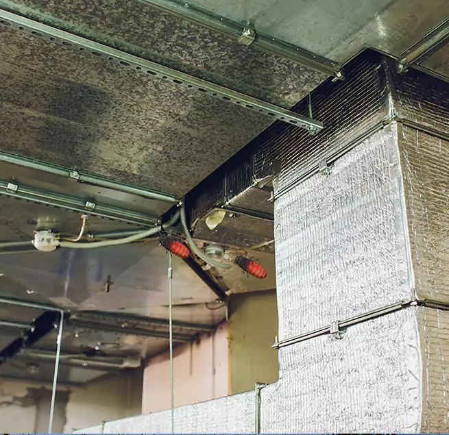 Why Homeowners & Businesses Trust Us in Russellville, AR?