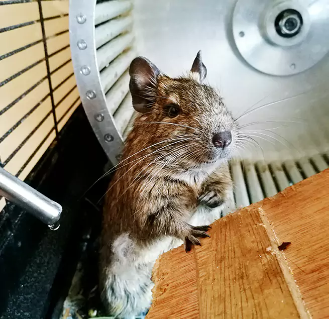 Why Homeowners & Businesses Trust Us Russellville, AR