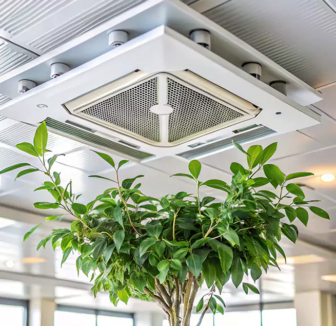 Why Homeowners & Businesses Trust Us in Russellville, AR