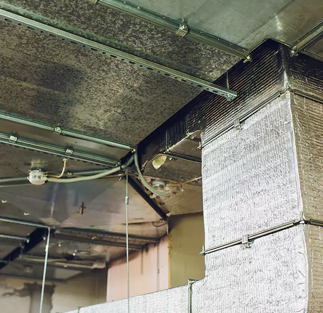 Why Homeowners & Businesses Trust Us in Russellville, AR?